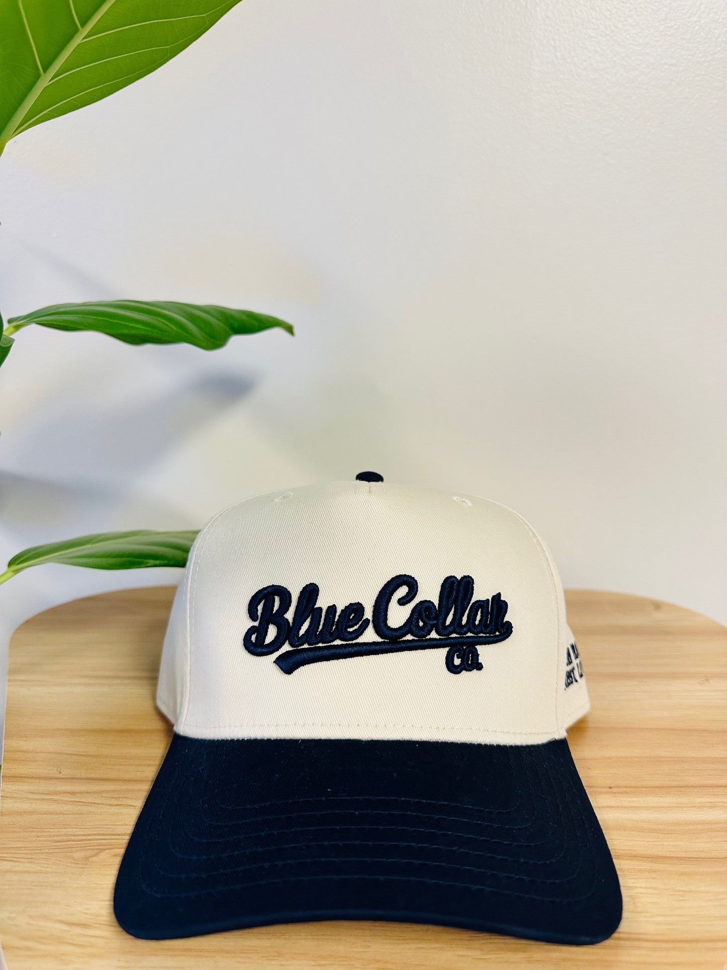 Neutral/Navy 5 Panel